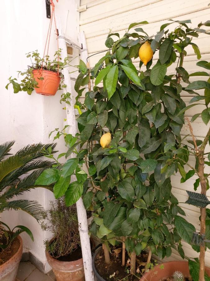 Daria'S Home Apartament Palermo Ngoại thất bức ảnh